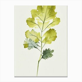 Wild Mustard Leaf Minimalist Watercolour 3 Canvas Print
