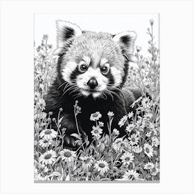 Red Panda Cub In A Field Of Flowers Ink Illustration 1 Canvas Print