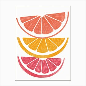 Citrus Slices 10 Canvas Print