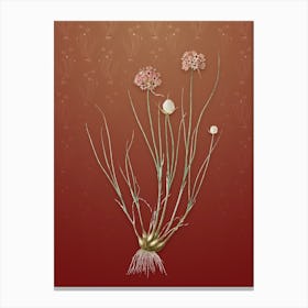 Vintage Allium Globosum Botanical on Falu Red Pattern n.2287 Canvas Print