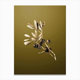 Gold Botanical Olive Tree Branch on Dune Yellow n.1750 Canvas Print