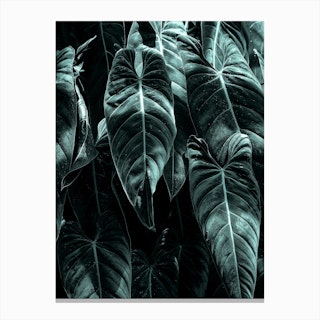 Wild Jungle Canvas Print