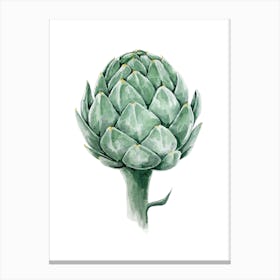 Botanical Study Of An Artichoke In Watercolor Canvas Print