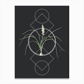 Vintage Lachenalia Angustifolia Botanical with Geometric Line Motif and Dot Pattern n.0246 Canvas Print