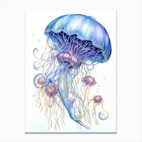 Portuguese Man Of War Jellyfish 12 Canvas Print