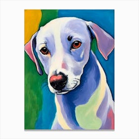 Italian Greyhound 2 Fauvist Style dog Canvas Print