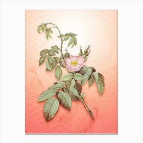 Apple Rose Vintage Botanical in Peach Fuzz Hishi Diamond Pattern n.0155 Canvas Print