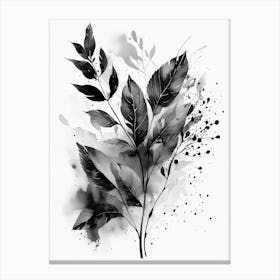 Black And White Leaves Canvas Print