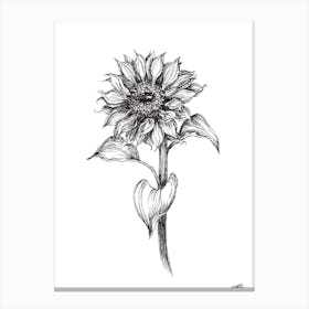 Black and White Sunflower Left Canvas Print