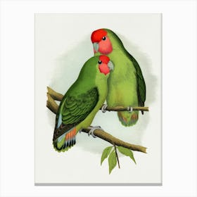 Pair Of Parrots Canvas Print