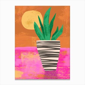 Potted Plant At Sunset Canvas Print
