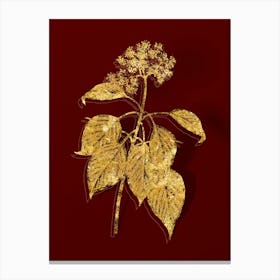 Vintage Pagoda Dogwood Botanical in Gold on Red n.0481 Canvas Print