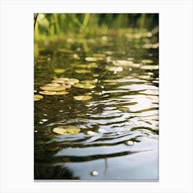 Lily Pads In The Water 1 Canvas Print