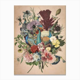 Peacocks And Flowers Canvas Print