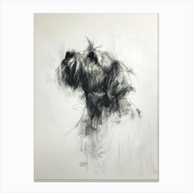 Wirehaired Pointing Griffon Dog Charcoal Line 2 Canvas Print