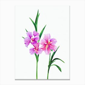 Gladioli Watercolour Flower Canvas Print
