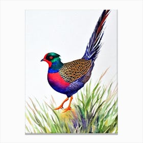 Pheasant 2 Watercolour Bird Canvas Print