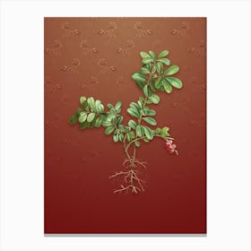 Vintage Lingonberry Botanical on Falu Red Pattern n.2257 Canvas Print