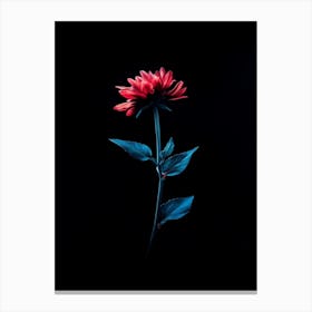 Red Dahlia Flower Canvas Print