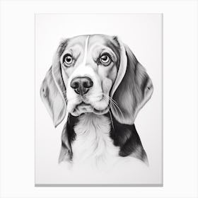 Beagle Dog, Line Drawing 1 Canvas Print