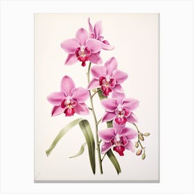 Orchids Flower Vintage Botanical 1 Canvas Print