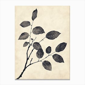 Seoul Flower Market Boho Minimalist Style Canvas Print