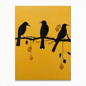 Three Birds On A Branch 2 Canvas Print