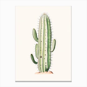 Ladyfinger Cactus Marker Art 3 Canvas Print