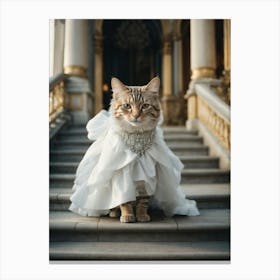 Cat In Wedding Dress Canvas Print