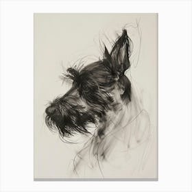 Scottish Terrier Dog Charcoal Line 1 Canvas Print