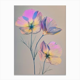 Iridescent Flower Flax Flower 2 Canvas Print