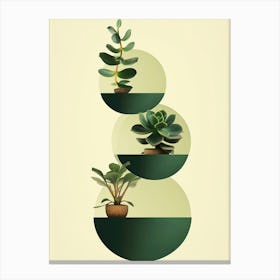 Succulents 2 Canvas Print