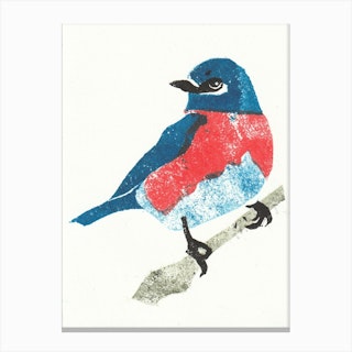 Bluebird Canvas Print