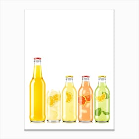 Set Of Bottles With Drinks Canvas Print