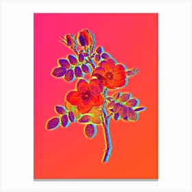 Neon Austrian Briar Rose Botanical in Hot Pink and Electric Blue Canvas Print