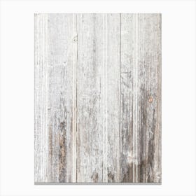 Old Wooden Planks 1 Canvas Print