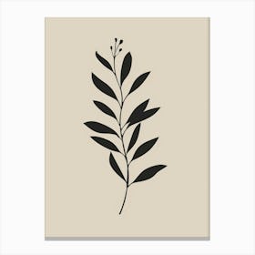 Eucalyptus Leaf 5 Canvas Print