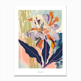 Colourful Flower Illustration Poster Phlox 4 Canvas Print