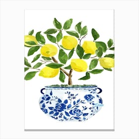 Lemon Tree Canvas Print