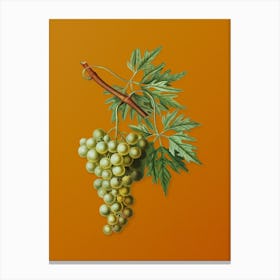 Vintage Grape Vine Botanical on Sunset Orange n.0289 Canvas Print