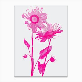 Hot Pink Sunflower 2 Canvas Print