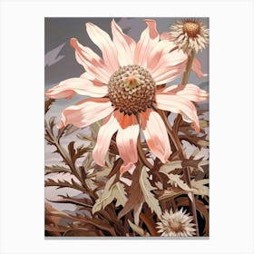 Floral Illustration Edelweiss 2 Canvas Print