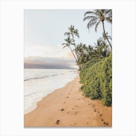 Tropical Beach Canvas Print