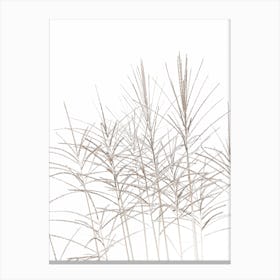 Beach Grass Texture I Canvas Print