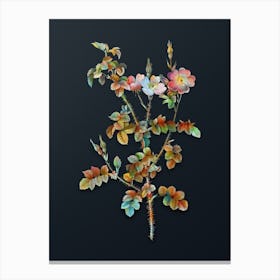 Vintage Prickly Sweetbriar Rose Botanical Watercolor Illustration on Dark Teal Blue n.0439 Canvas Print