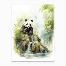 Panda Art Birdwatching Watercolour 1 Canvas Print