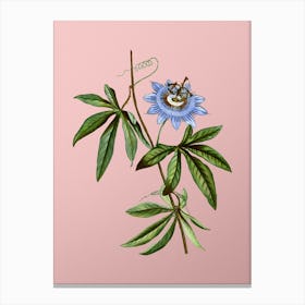 Vintage Blue Passionflower Botanical on Soft Pink n.0545 Canvas Print