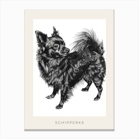 Schipperke Dog Line Sketch 1 Poster Canvas Print