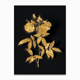 Vintage Hudson Rose Botanical in Gold on Black n.0079 Canvas Print
