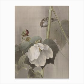 Bird On Flower Canvas Print